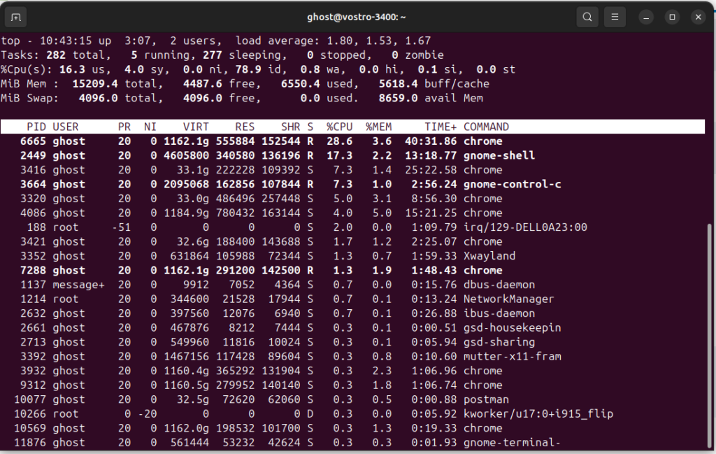 Essential Linux Commands